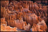 Pinnacles, hoodoos, and fluted walls. Bryce Canyon National Park, Utah, USA.