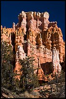 Hoodoos capped with dolomite. Bryce Canyon National Park ( color)