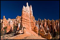 Hoodoos seen from the base. Bryce Canyon National Park ( color)
