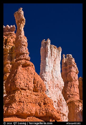 Hoodoos subject to chemical weathering by carbonic acid. Bryce Canyon National Park (color)