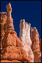 Hoodoos subject to chemical weathering by carbonic acid. Bryce Canyon National Park, Utah, USA. (color)