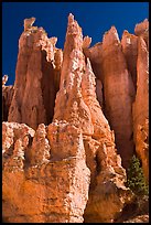 Weathered Claron formation limestone. Bryce Canyon National Park, Utah, USA.