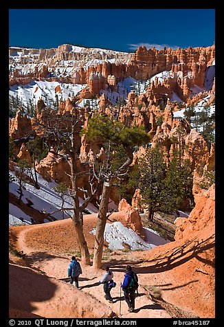 Hiking into amphitheater. Bryce Canyon National Park (color)