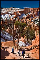 Hiking into amphitheater. Bryce Canyon National Park, Utah, USA. (color)