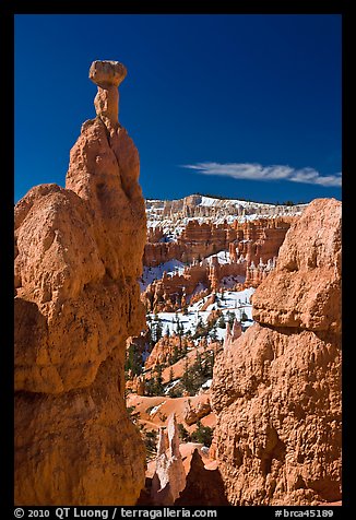 Hoodoos capped by dolomite rocks and amphitheater. Bryce Canyon National Park (color)