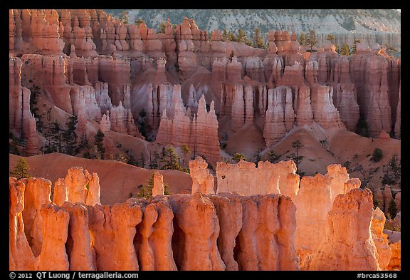 Rows of hoodoos. Bryce Canyon National Park (color)