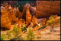 Aspen and Thors Hammer in fall. Bryce Canyon National Park, Utah, USA. (color)