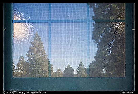 Fir trees, Visitor Center window reflexion. Bryce Canyon National Park (color)