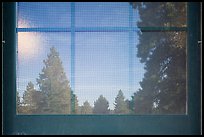 Fir trees, Visitor Center window reflexion. Bryce Canyon National Park ( color)