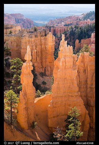Hoodoos and cirque, Fairyland Point. Bryce Canyon National Park (color)