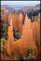 Hoodoos and cirque, Fairyland Point. Bryce Canyon National Park ( color)