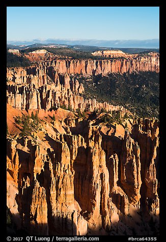Pink cliffs from Rainbow Point, early morning. Bryce Canyon National Park (color)