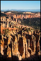 Pink cliffs from Rainbow Point, early morning. Bryce Canyon National Park ( color)