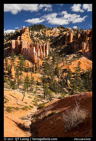 Hill with hoodoos, Fairyland Loop. Bryce Canyon National Park (color)