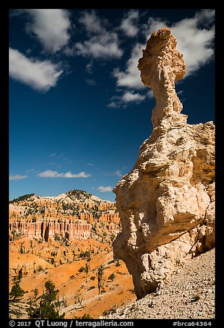 Mushroom-shaped freestanding hoodoo. Bryce Canyon National Park (color)