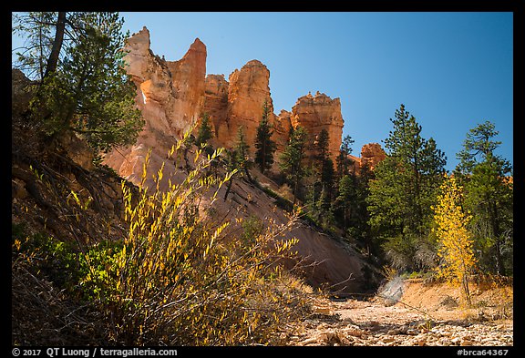 Dry creek with autumn foliage and hoodoos. Bryce Canyon National Park (color)