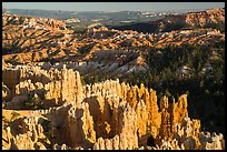 View from northern Rim Trail, late afternoon. Bryce Canyon National Park ( color)