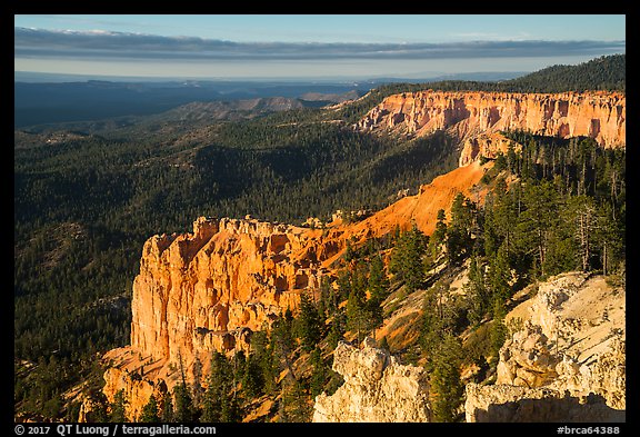 Pink cliffs and forest at sunrise from Rainbow Point. Bryce Canyon National Park (color)