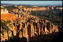 Pink cliffs towards the south from Rainbow Point, sunrise. Bryce Canyon National Park ( color)
