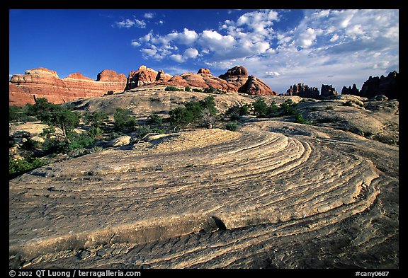 Circular sandstone striations near Elephant Hill, the Needles, late afternoon. Canyonlands National Park, Utah, USA.