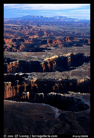 Monument basin from Grand View Point, Island in the Sky, late afternoon. Canyonlands National Park (color)