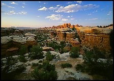 Elephant Canyon at sunset, the Needles. Canyonlands National Park ( color)
