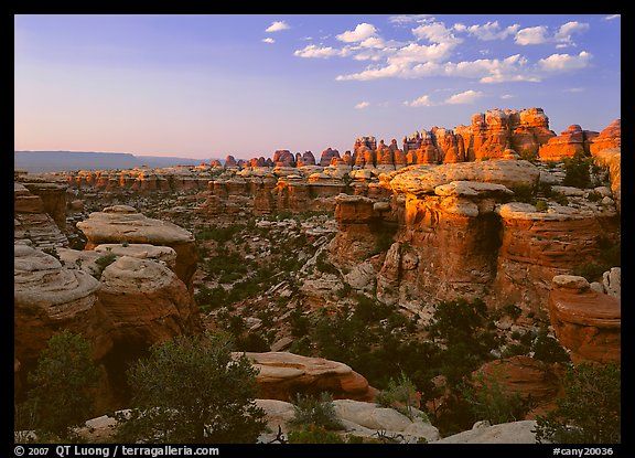 Elephant Valley, sunset. Canyonlands National Park (color)