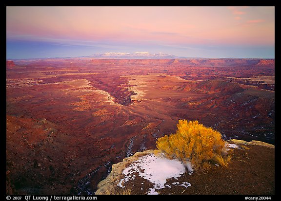 Gorge and plateau at sunset, Island in the Sky. Canyonlands National Park (color)