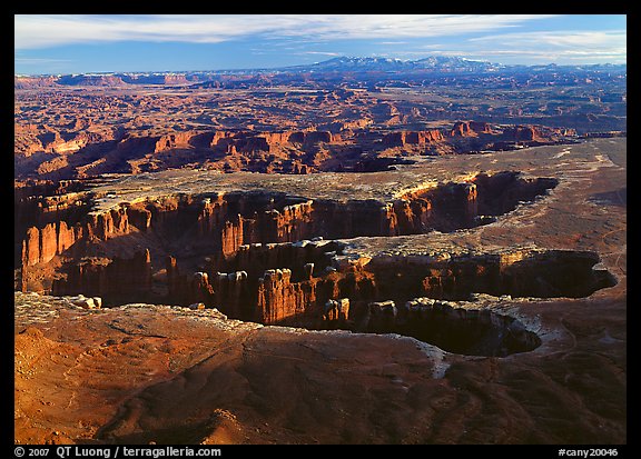 Maze of interlocked canyons from Grand view point, Island in the sky. Canyonlands National Park, Utah, USA.