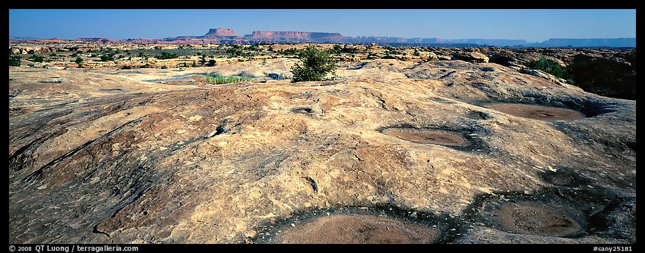 Potholed sandstone slab, Needles District. Canyonlands National Park (color)