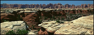 Sandstone needles near Elephant Hill, Needles District. Canyonlands National Park (Panoramic color)