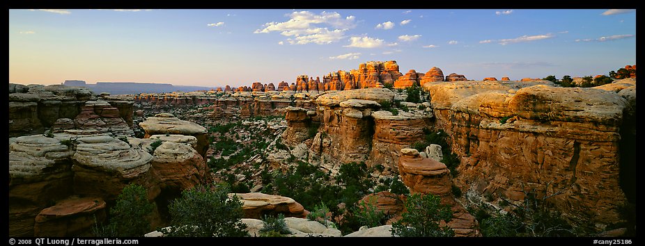 Sandstone Needles in the glow of last light, Needles District. Canyonlands National Park (color)