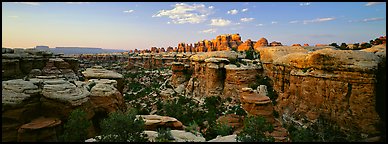 Sandstone Needles in the glow of last light, Needles District. Canyonlands National Park (Panoramic color)