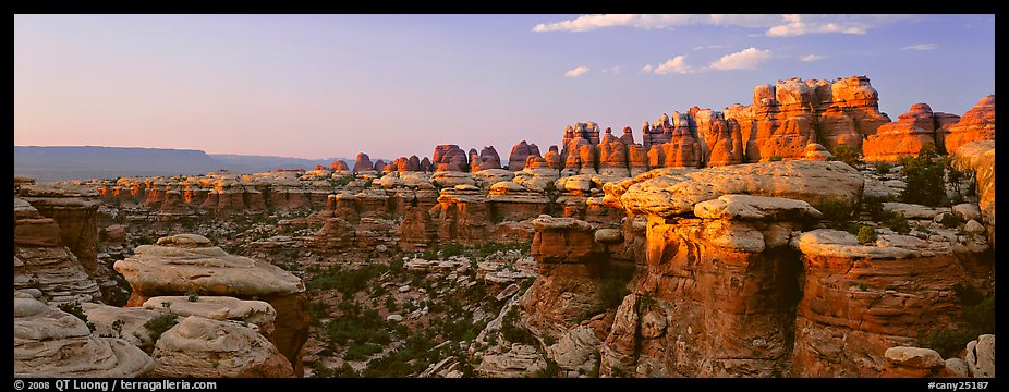 Rock Needles glowing at sunset, Needles District. Canyonlands National Park (color)