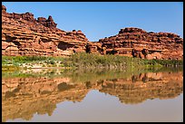 Cliffs reflected in Colorado River. Canyonlands National Park ( color)