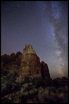 Doll House spires and Milky Way. Canyonlands National Park, Utah, USA. (color)