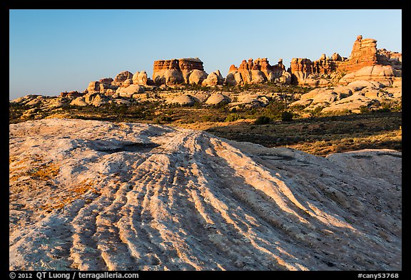Sandstone swirls and Doll House spires, early morning. Canyonlands National Park (color)
