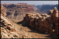 Surprise Valley and Colorado River canyon. Canyonlands National Park, Utah, USA. (color)