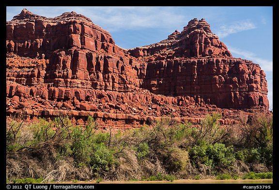 Cottonwoods and red cliffs. Canyonlands National Park (color)