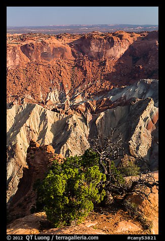 Juniper and Upheaval Dome. Canyonlands National Park (color)
