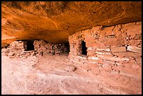Granary ruins on Aztec Butte. Canyonlands National Park, Utah, USA. (color)