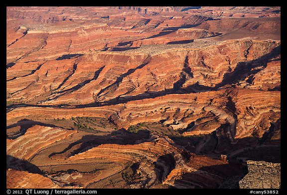 Aerial view of Maze canyons. Canyonlands National Park (color)