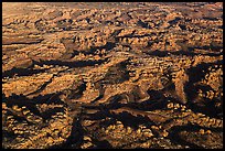 Aerial view of Needles District. Canyonlands National Park, Utah, USA. (color)
