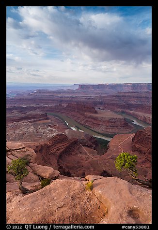 Colorado River from Dead Horse Point, morning. Canyonlands National Park (color)