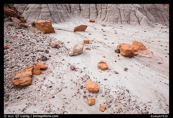 Bentonite and petrified wood, Orange Cliffs Unit, Glen Canyon National Recreation Area, Utah. USA