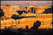 Maze canyons at sunset. Canyonlands National Park ( color)