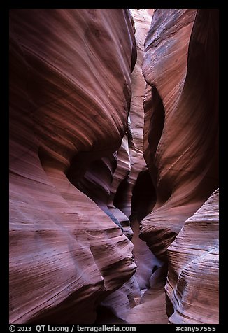Narrows, High Spur slot canyon, Orange Cliffs Unit, Glen Canyon National Recreation Area, Utah. USA