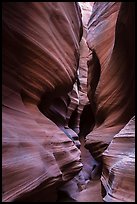 Narrows, High Spur slot canyon, Orange Cliffs Unit, Glen Canyon National Recreation Area, Utah. USA (color)