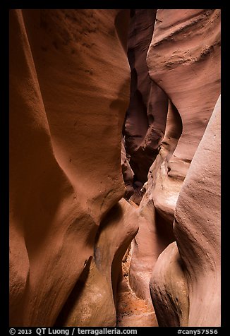 Curved walls, High Spur slot canyon, Orange Cliffs Unit, Glen Canyon National Recreation Area, Utah. USA