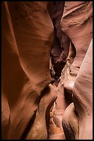 Curved walls, High Spur slot canyon, Orange Cliffs Unit, Glen Canyon National Recreation Area, Utah. USA (color)